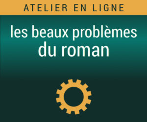 les beaux problèmes du roman